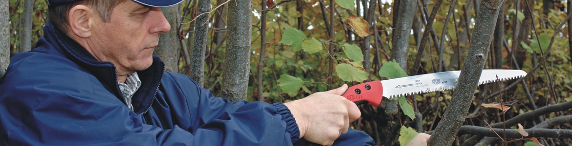 Die Astsäge Felco 611 mit ziehendem Schnitt