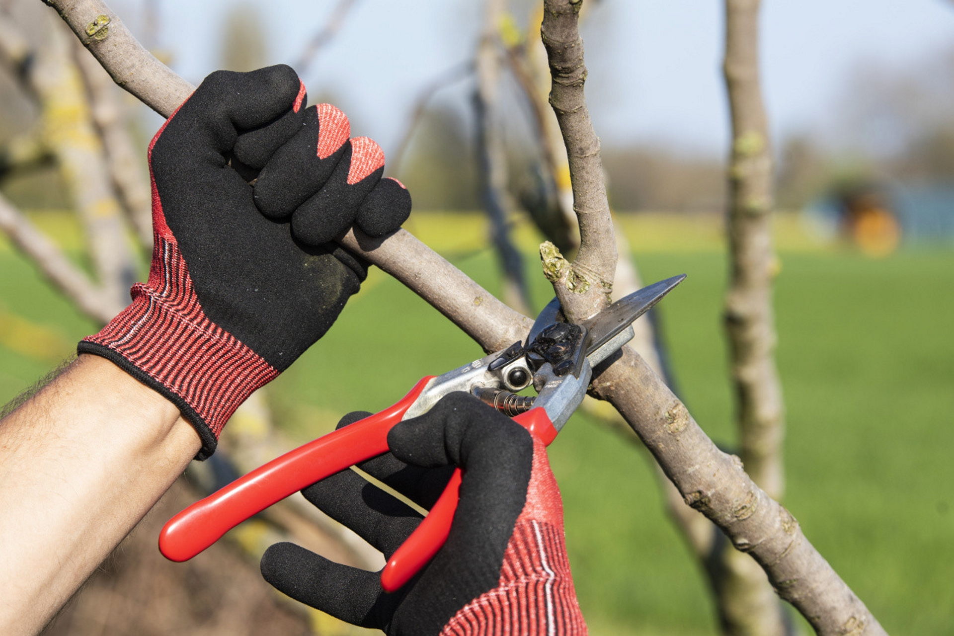 Felco Arbeitshandschuhe 701 im Einsatz