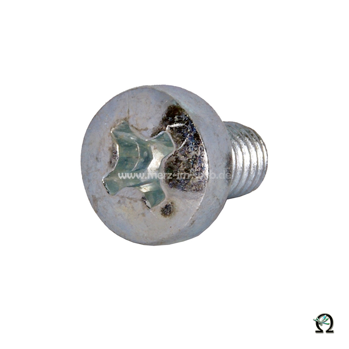 GLORIA Flachkopfschraube 603940