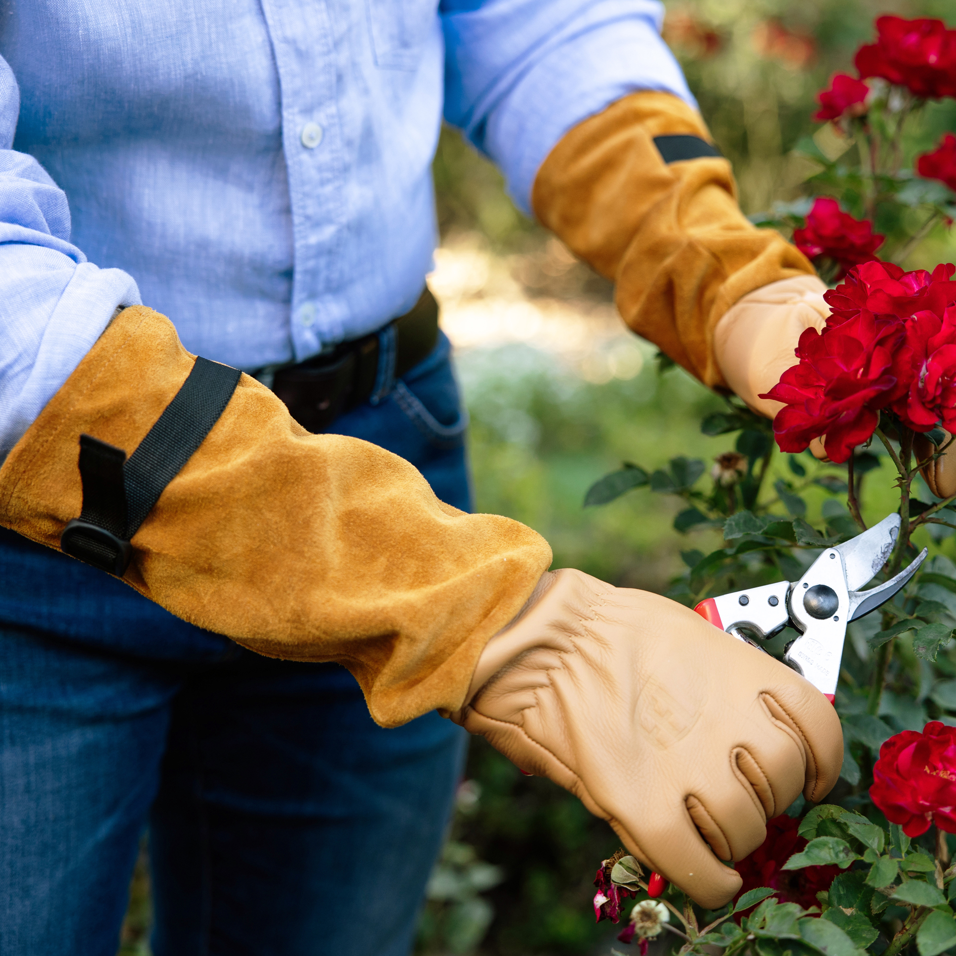 Die Rosenhandschuhe Felco 705 in Einsatz