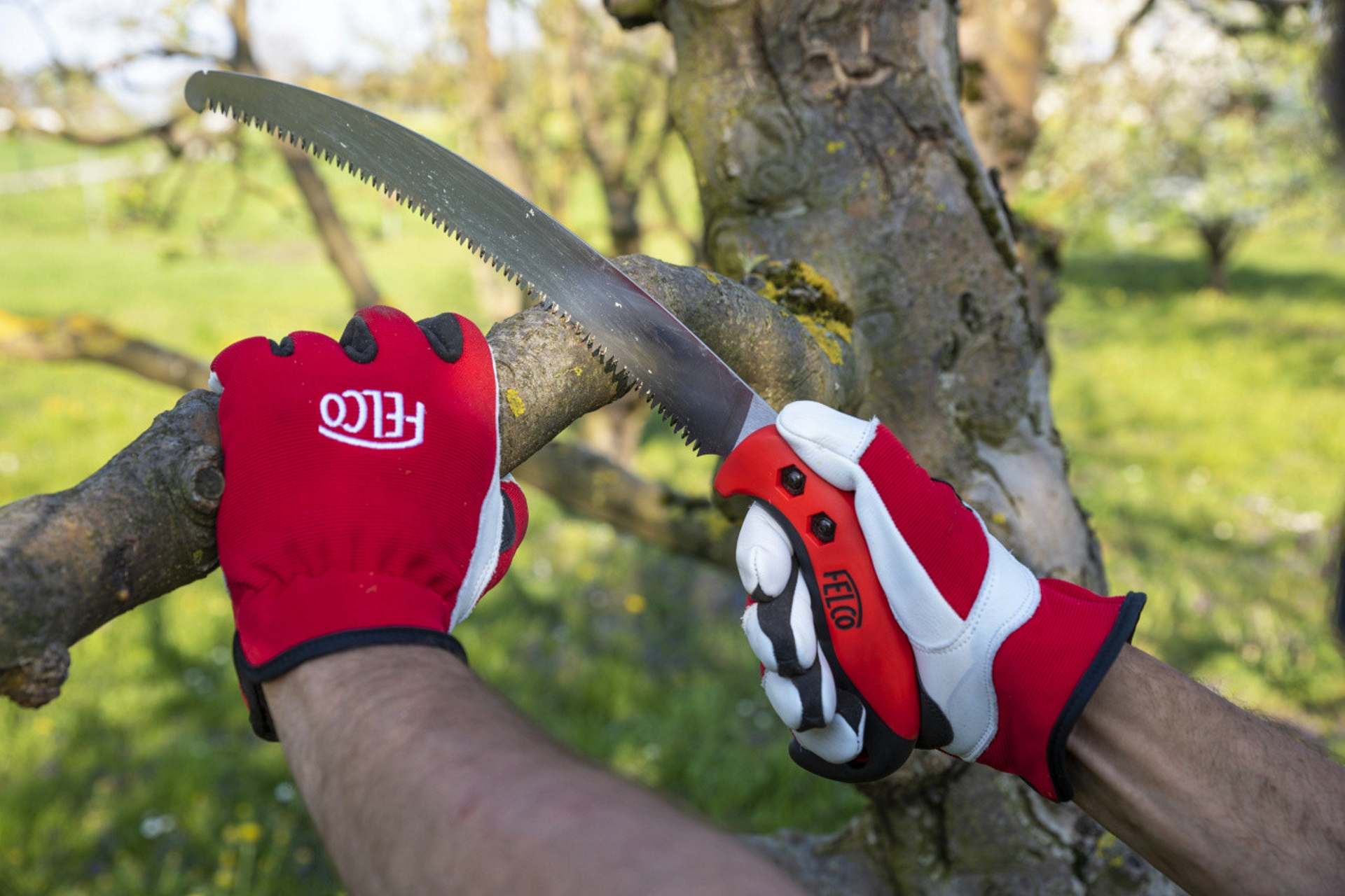 Felco Arbeitshandschuhe 702 im Einsatz