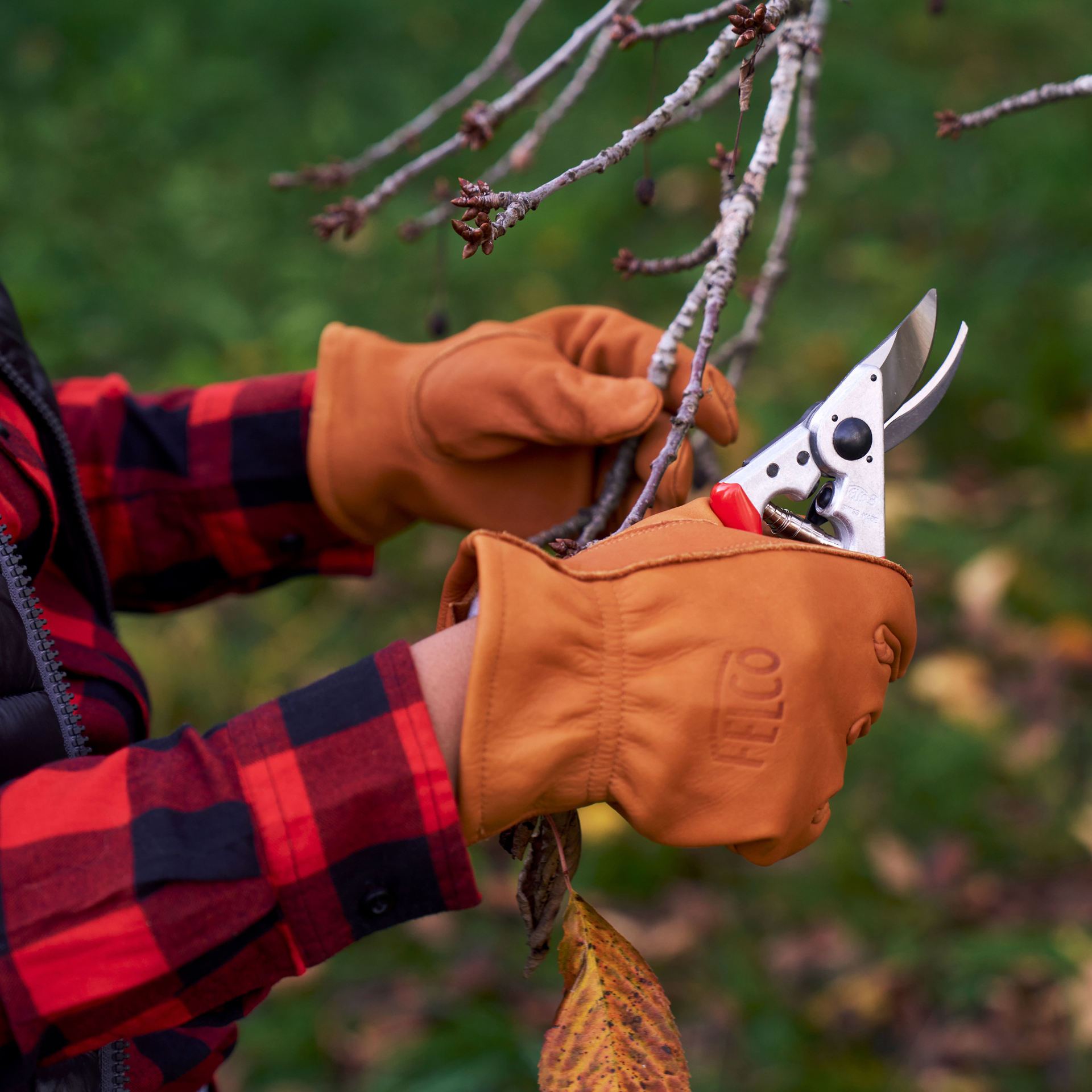 Felco Winterhandschuhe 703W im Einsatz