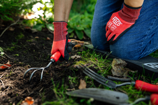 Die Gartenkralle FELCO 411 ist das perfekte Gerät, um Blumenbeete unkrautfrei zu halten! Mit ihren 3 Zinken aus gehärtetem Stahl und dem glatten Griff aus Eschenholz ist sie ideal, um schwer zugängliche Stellen zu belüften.