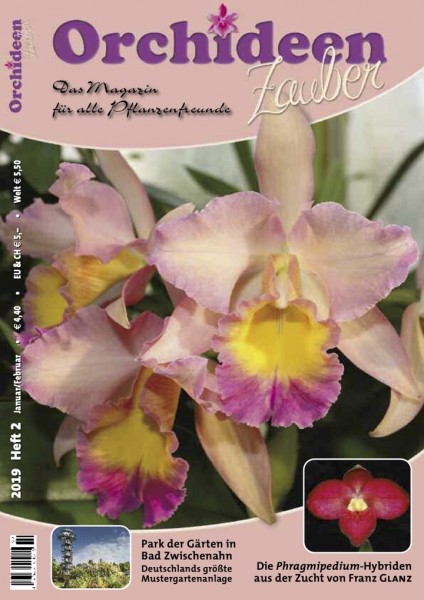 Orchideenzauber 2019 Heft 2